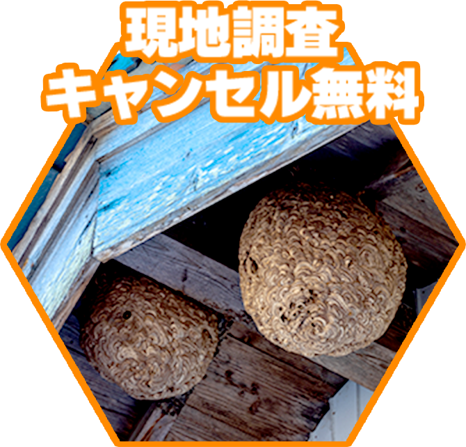 現地調査キャンセル無料