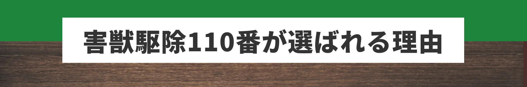 害獣駆除110番が選ばれる理由