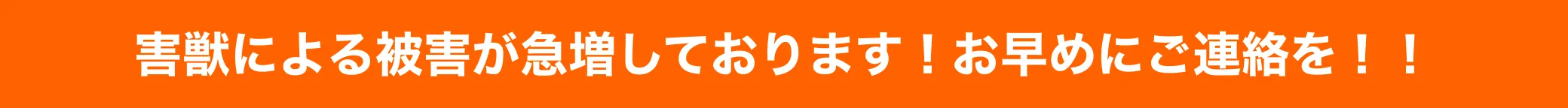 駆除キング サービス