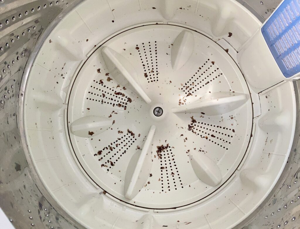 掃除されていないカビだらけの洗濯機洗濯槽