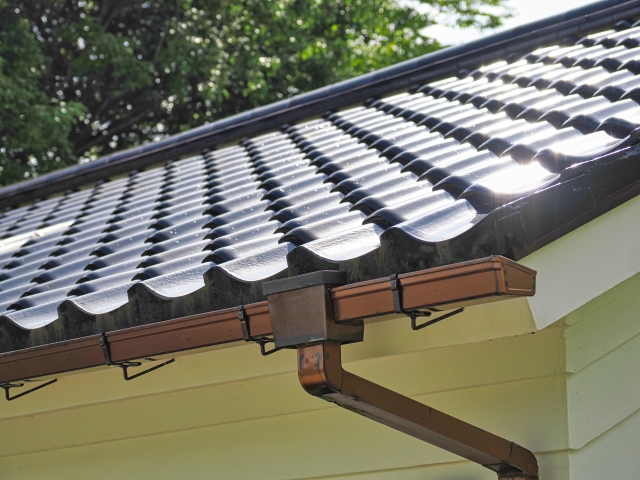 コウモリが住んでいる雨樋