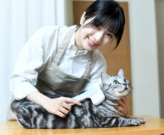 猫のトリミング料金を紹介！サロン・動物病院の相場は?