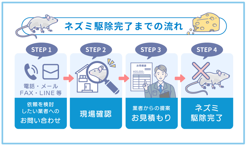 ネズミ駆除完了までの流れ4ステップを図解