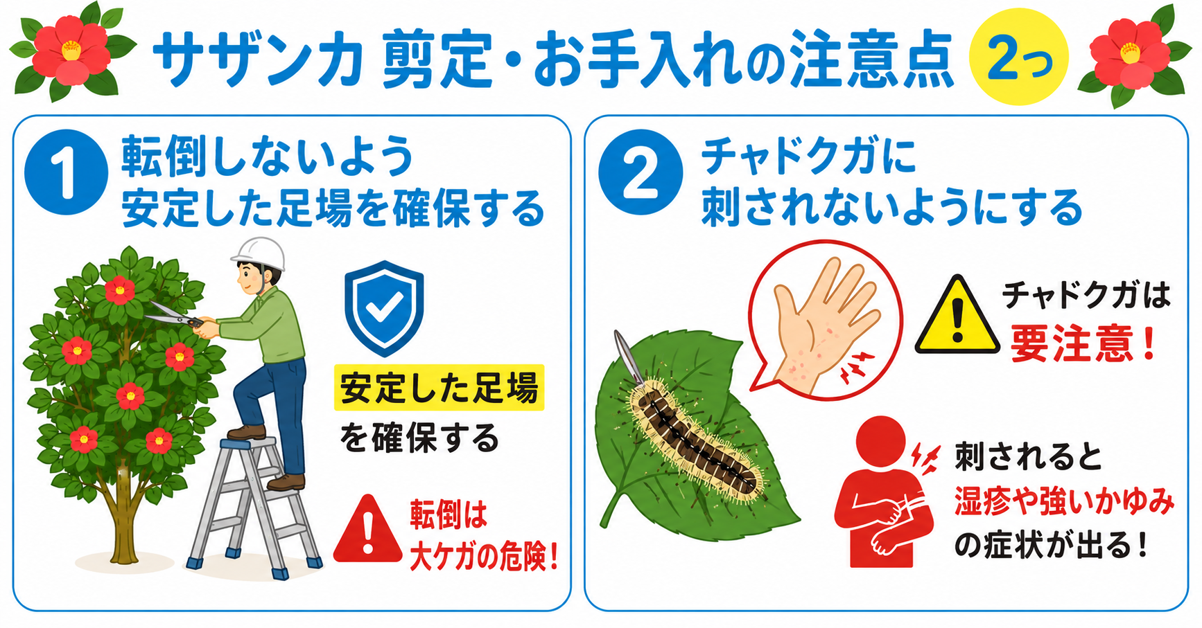 サザンカを剪定・お手入れする際の注意点