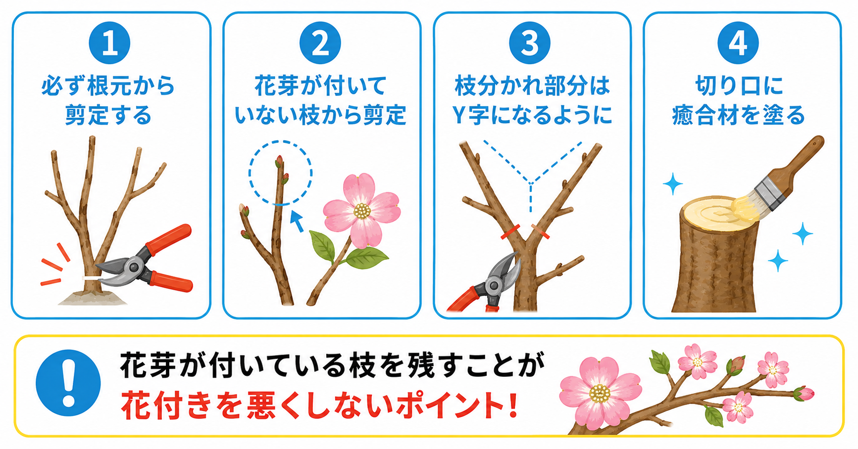 ハナミズキの剪定のポイント