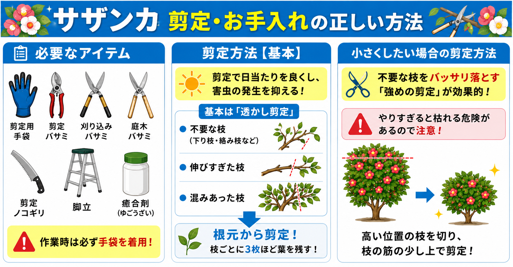 サザンカの剪定・お手入れの正しい方法