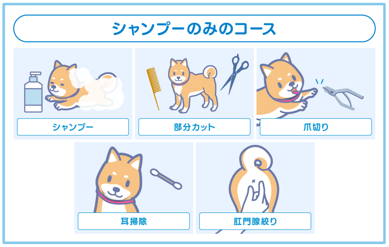 シャンプーのみのコースに含まれる作業
