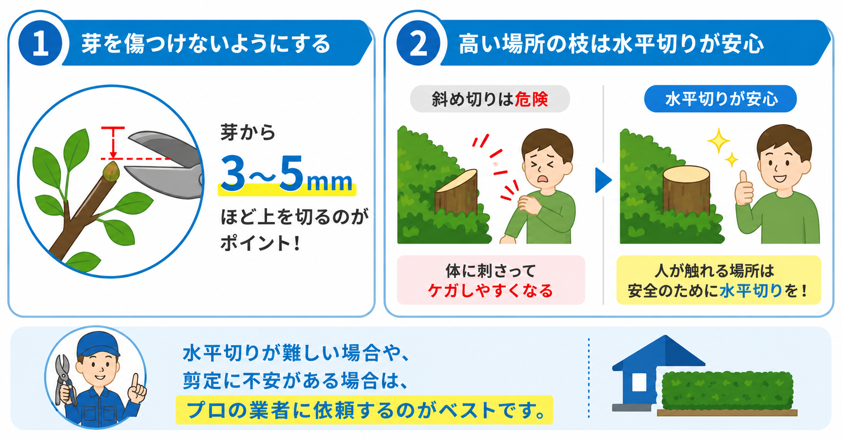 生垣の剪定する際の注意点