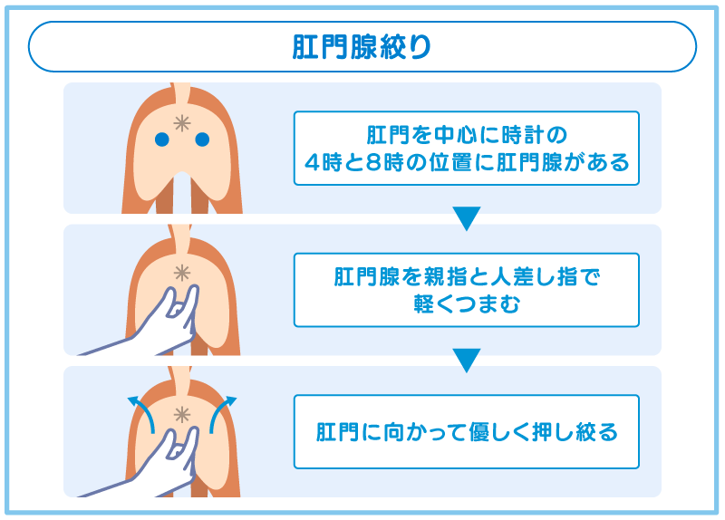 肛門腺を絞る