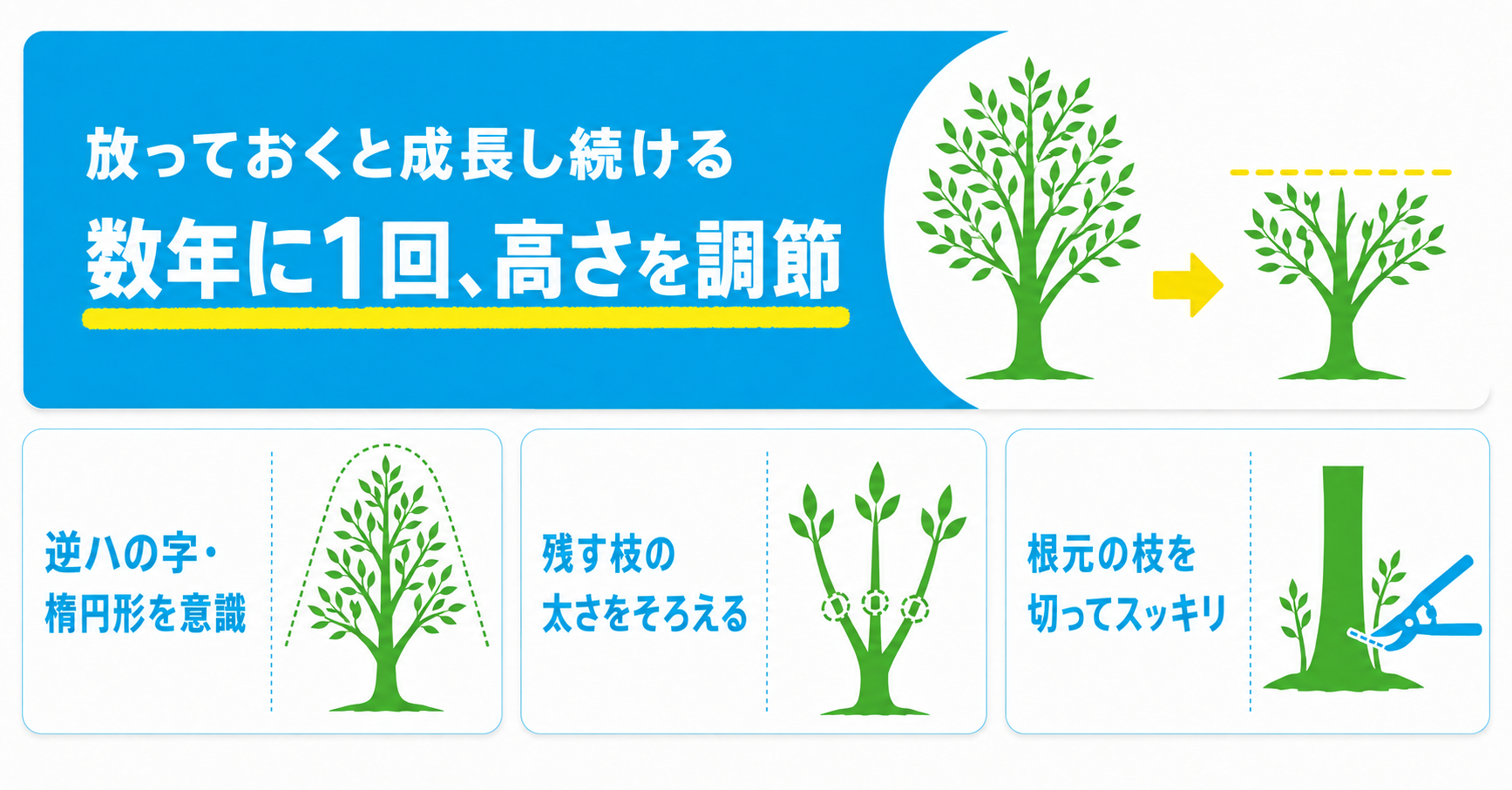 お手入れを成功させるコツ