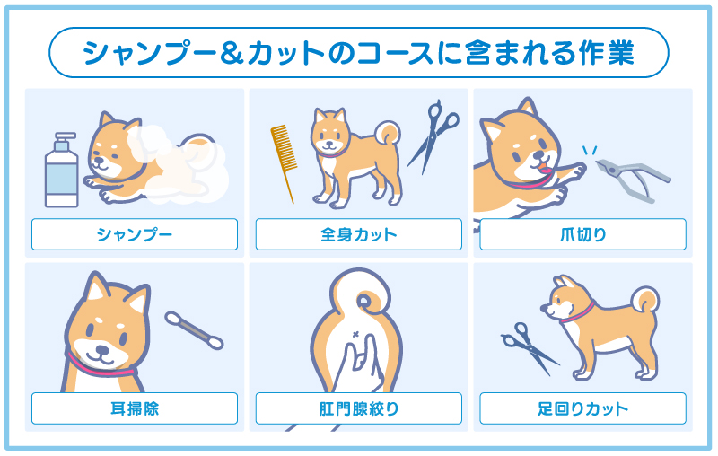 シャンプー&カットのコースに含まれる作業