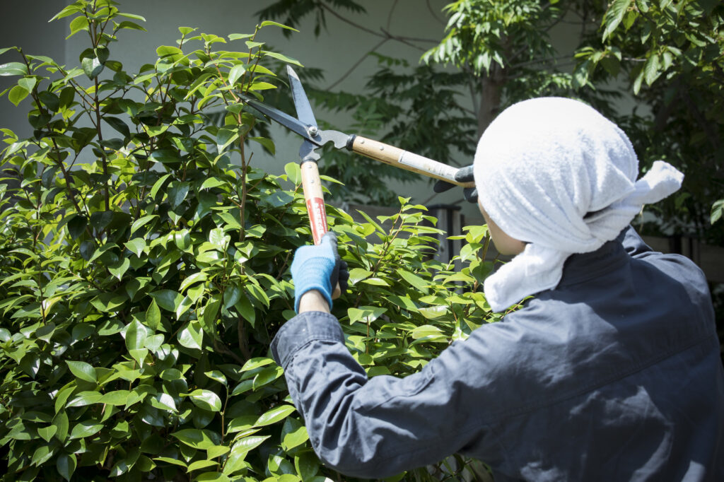 適切な料金で庭木剪定をしてくれている業者