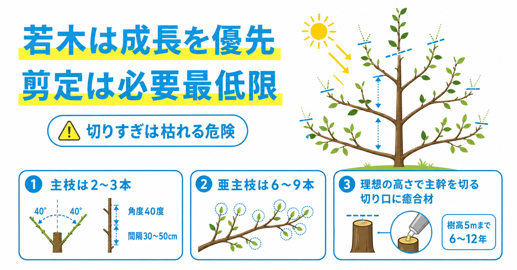 若木の段階での剪定
