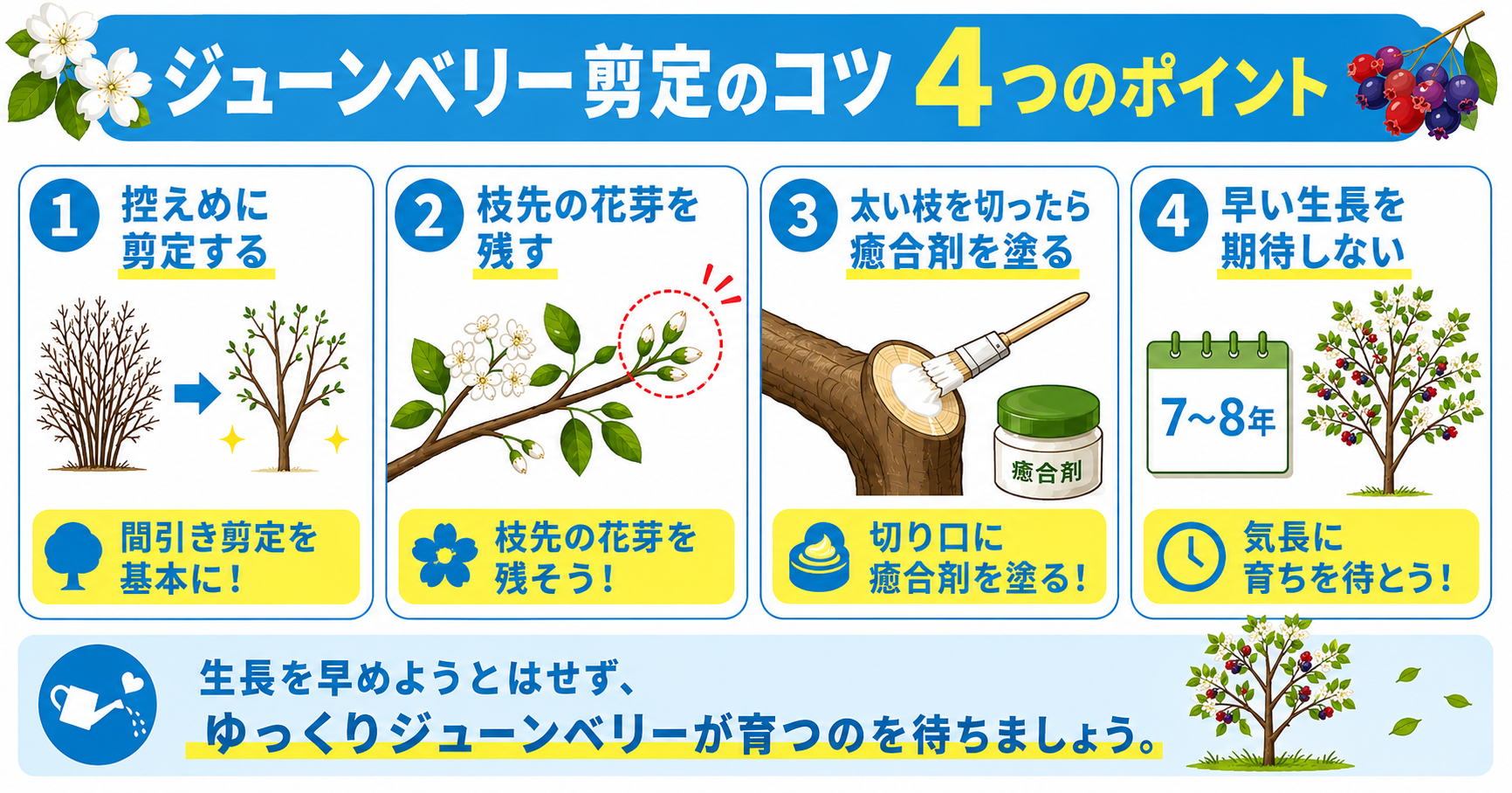 ジューンベリー剪定のコツ【失敗知らずの4つのポイント】