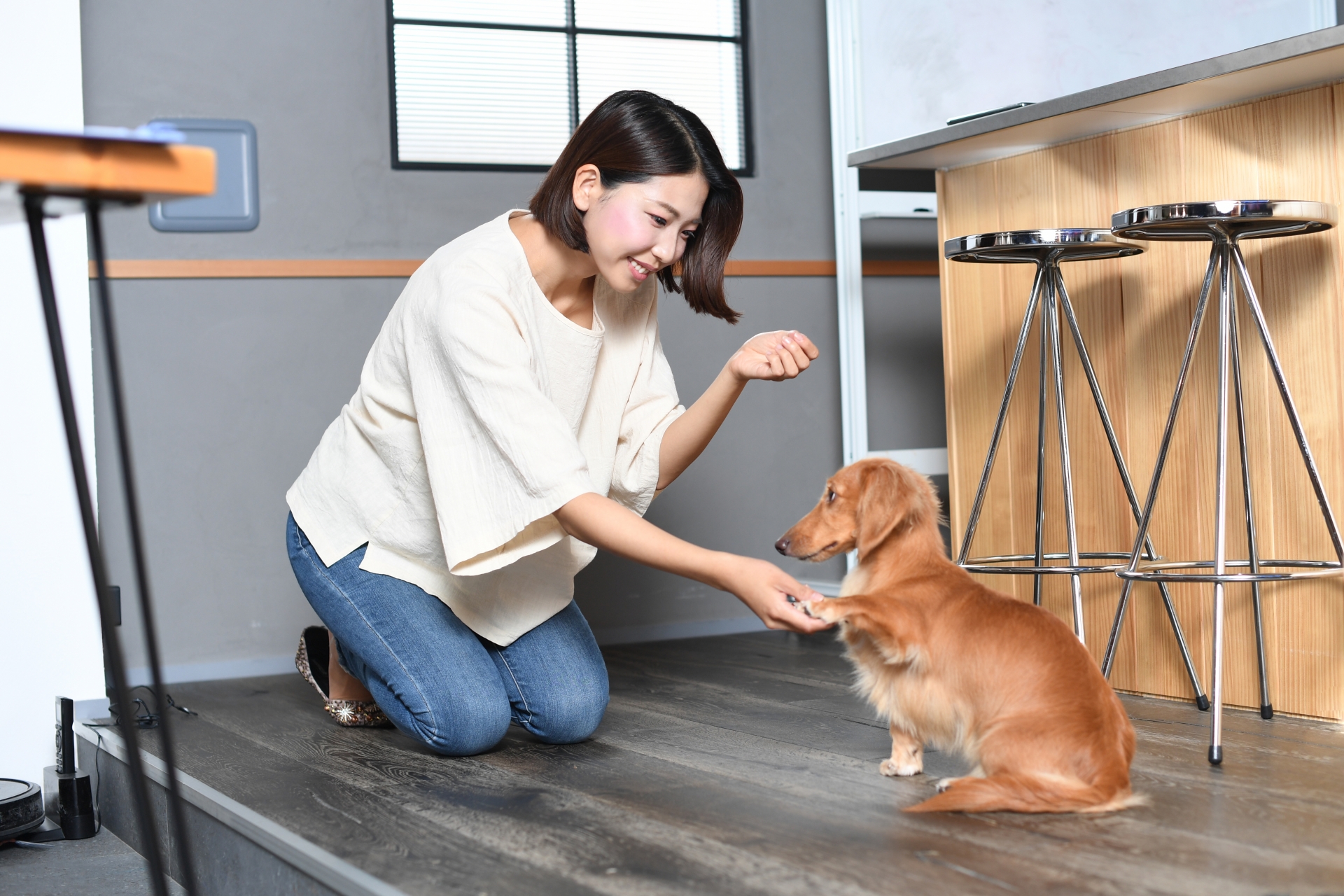 犬が食べてはいけないものを知っておくことが重要