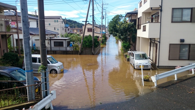 水没レベルで決まる買取相場