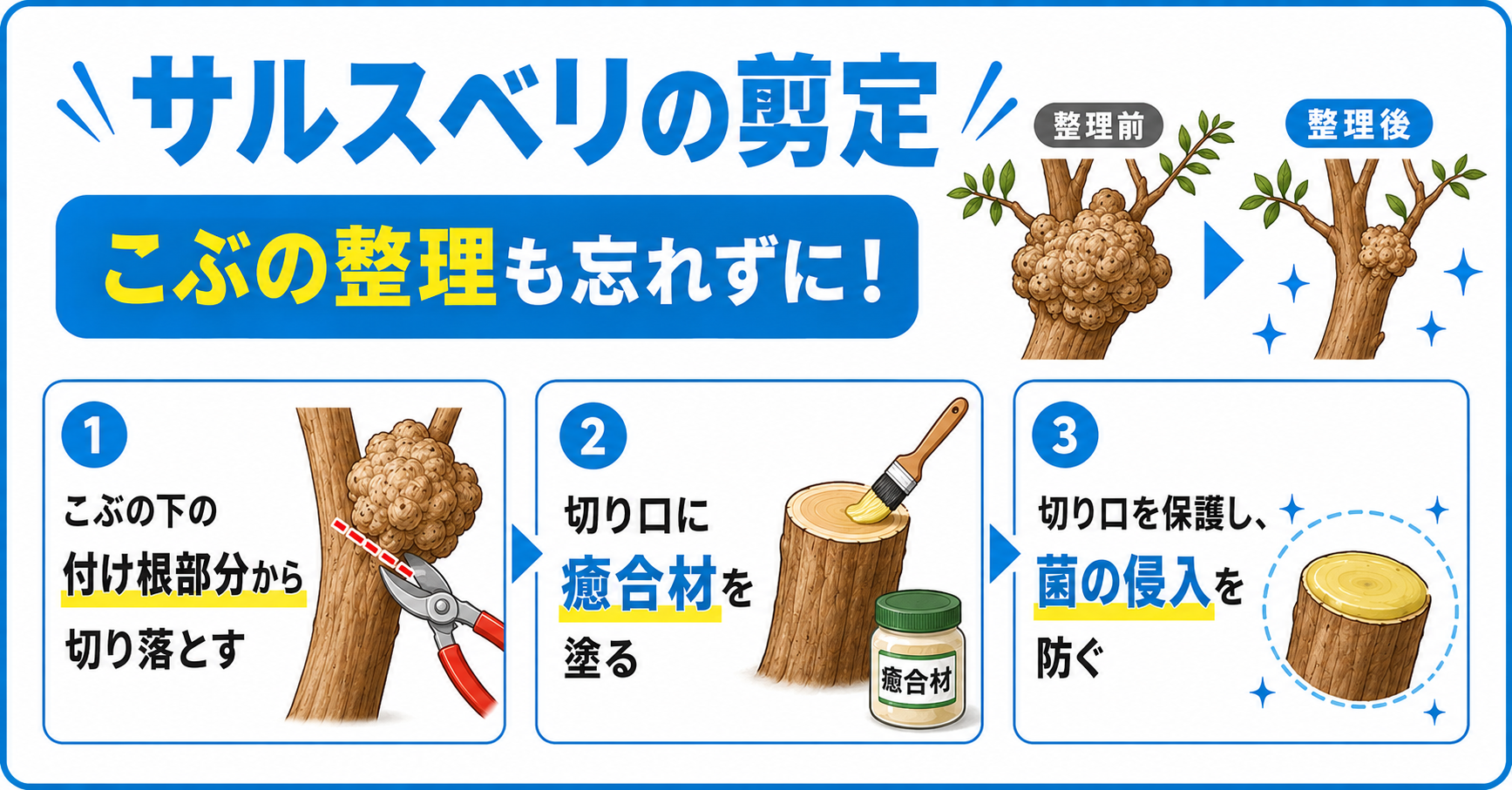 【サルスベリの剪定】こぶの整理も忘れずに!
