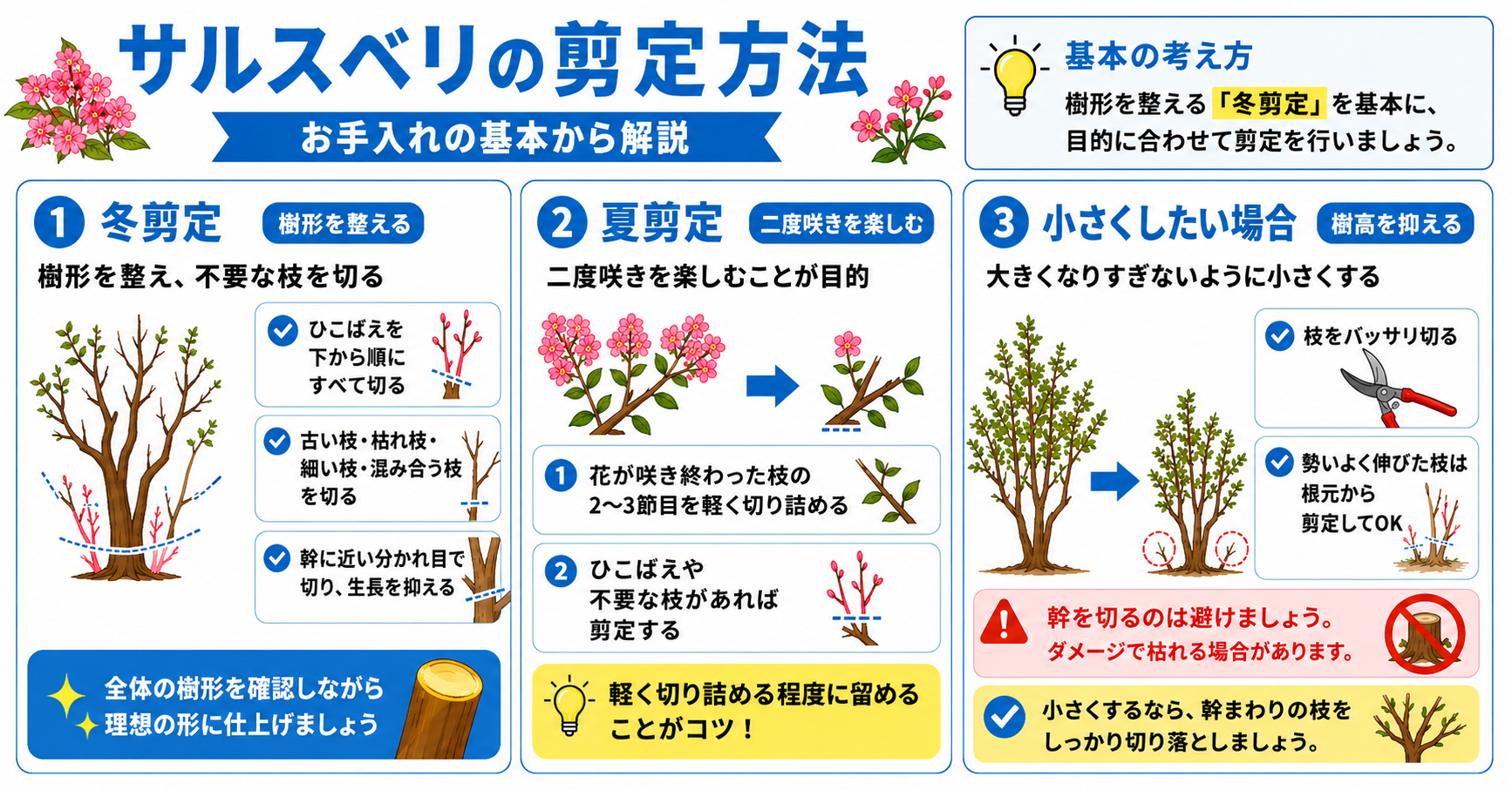 サルスベリの剪定方法【お手入れの基本から解説】