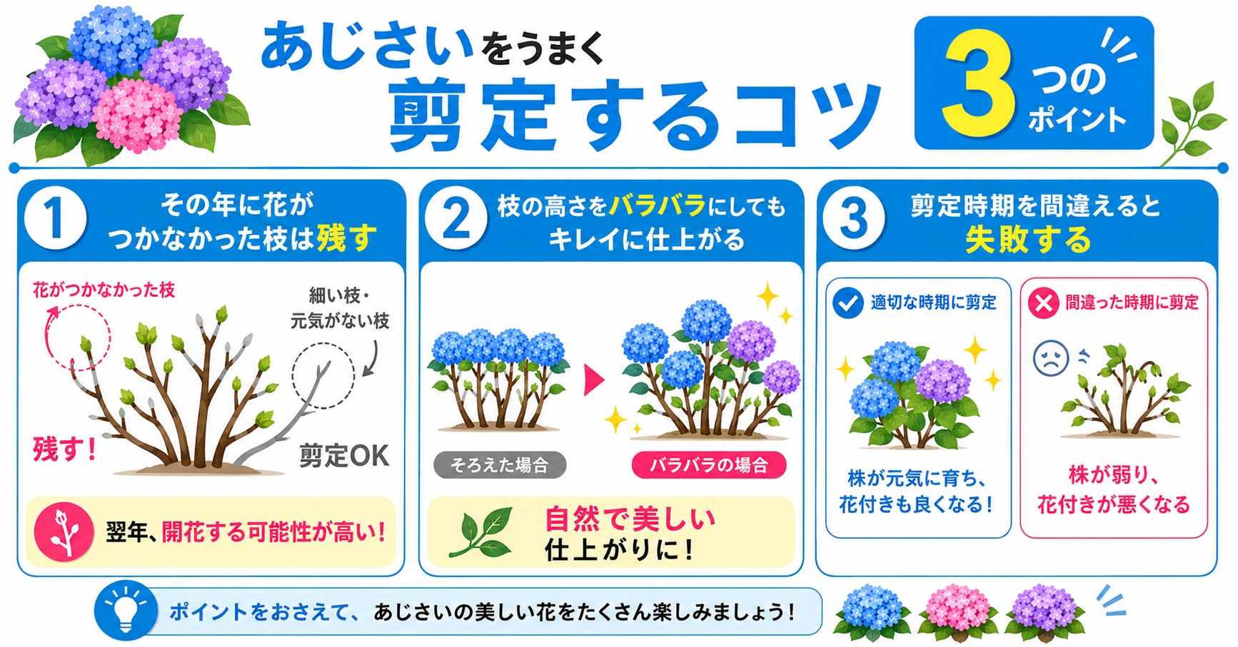 あじさいをうまく剪定するコツ【3つのポイント】