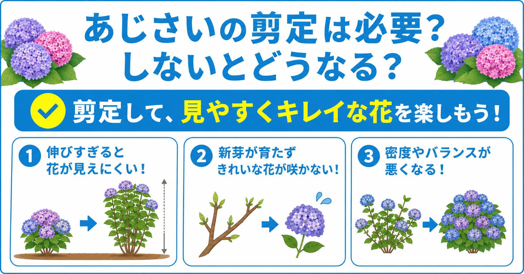 あじさいの剪定はそもそも必要?しないとどうなる?