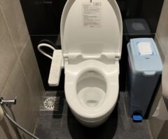 ゴキブリをトイレで発見したところ