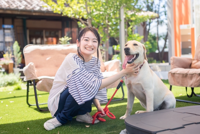 愛犬に「待て」をしつける時のおすすめポイント