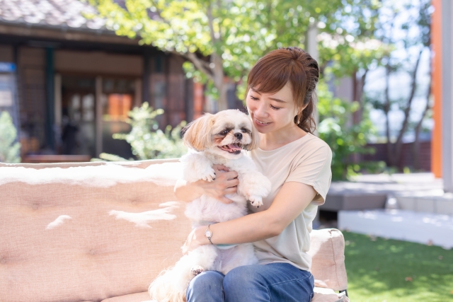 アトピー性皮膚炎の犬に使える保湿剤の選び方