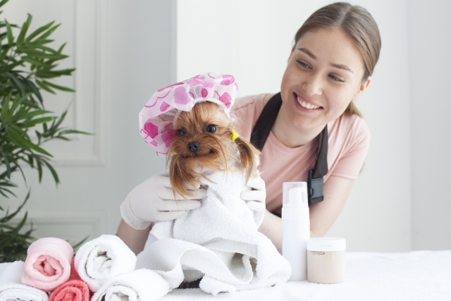 アトピー性皮膚炎の犬のシャンプーをする際の手順