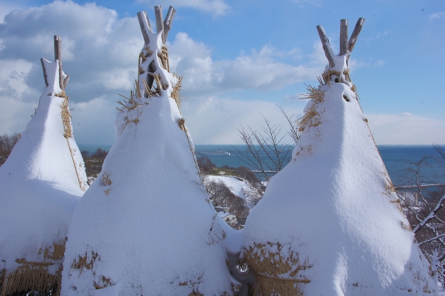 雪対策をした庭木