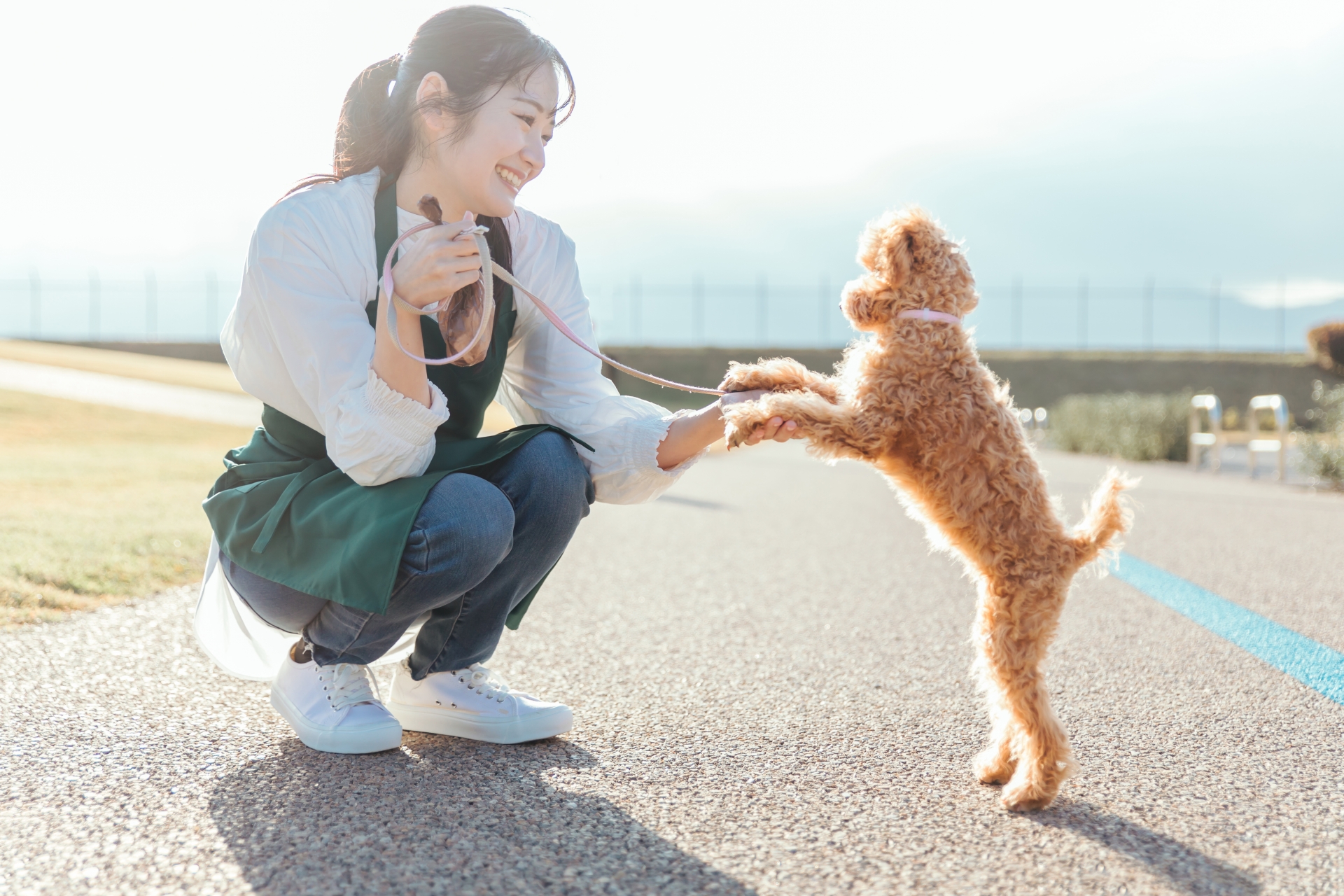 拾い食いさせないための具体的なしつけ方法