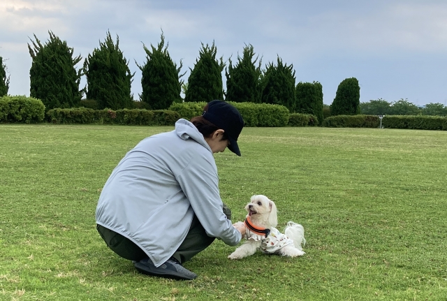 犬のしつけ教室の料金相場は5,000円/回！お得に利用する方法