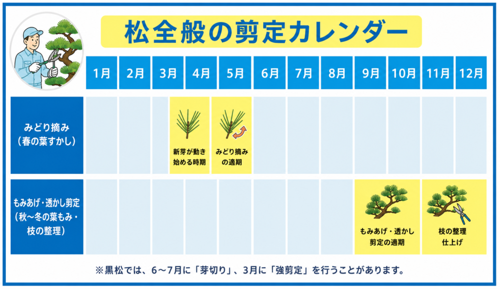 松全般のお手入れ剪定年間スケジュール