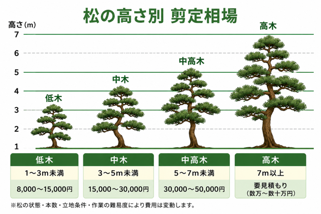 松の高さ別料金相場