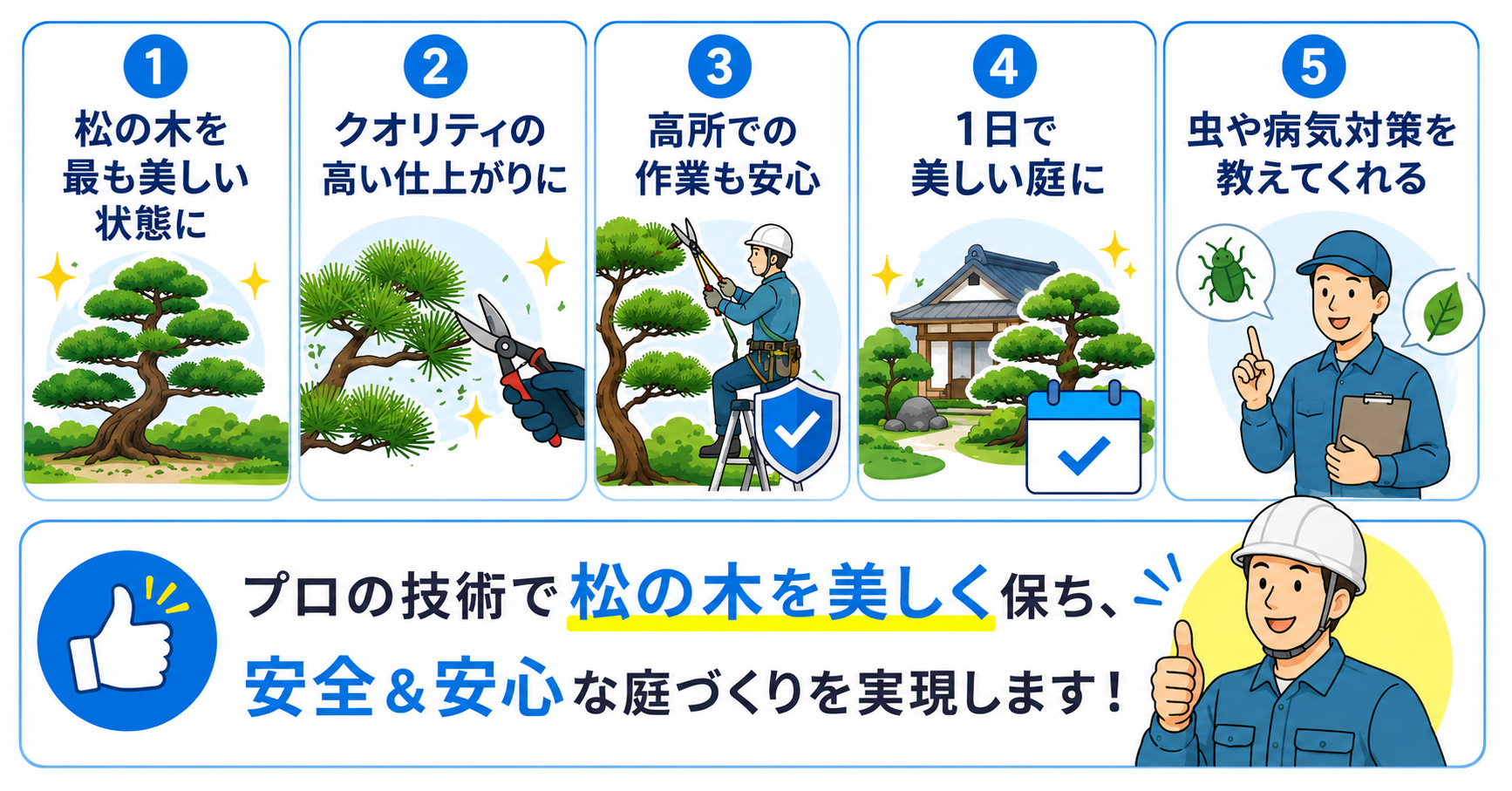 松の木剪定をプロに依頼するメリット