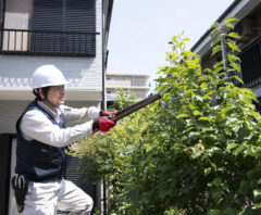 相場費用で引き受けてくれた植木屋や造園業者が木を伐採している様子