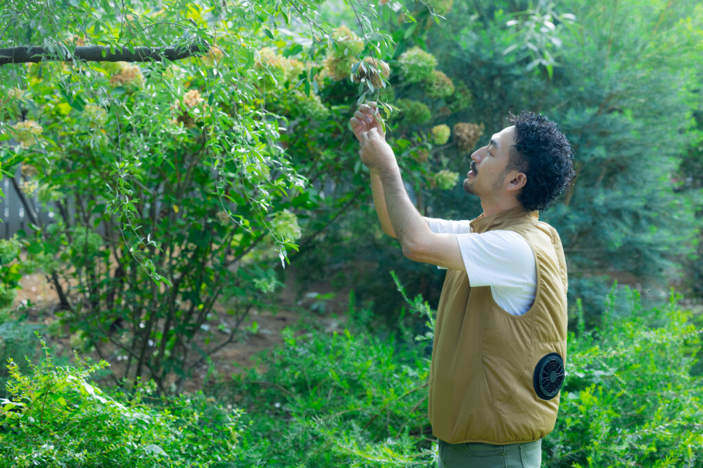 料金相場で庭をきれいにしてくれている庭師・造園業者