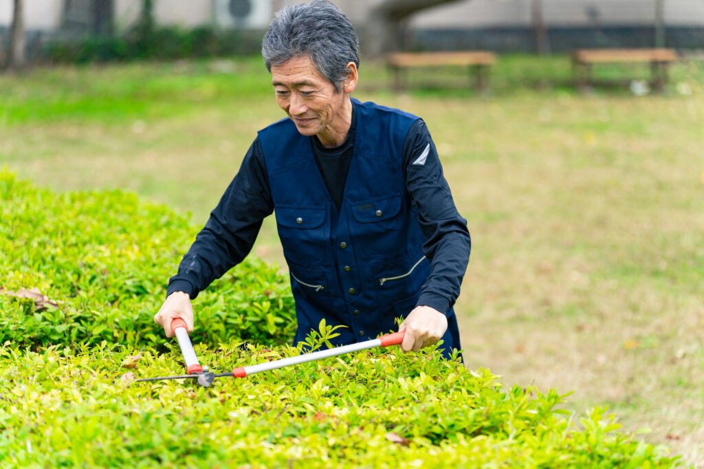 庭師さんが費用相場で剪定をしてくれている画像