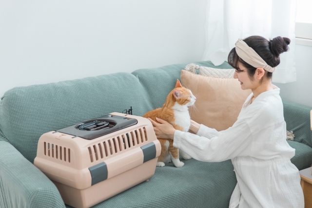 外壁塗装中にできるペットケア