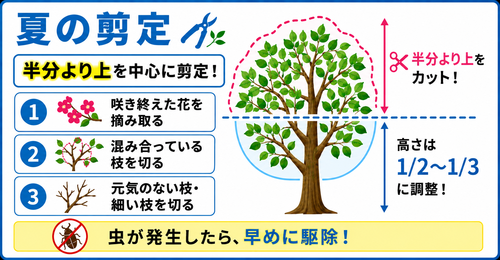 夏の剪定