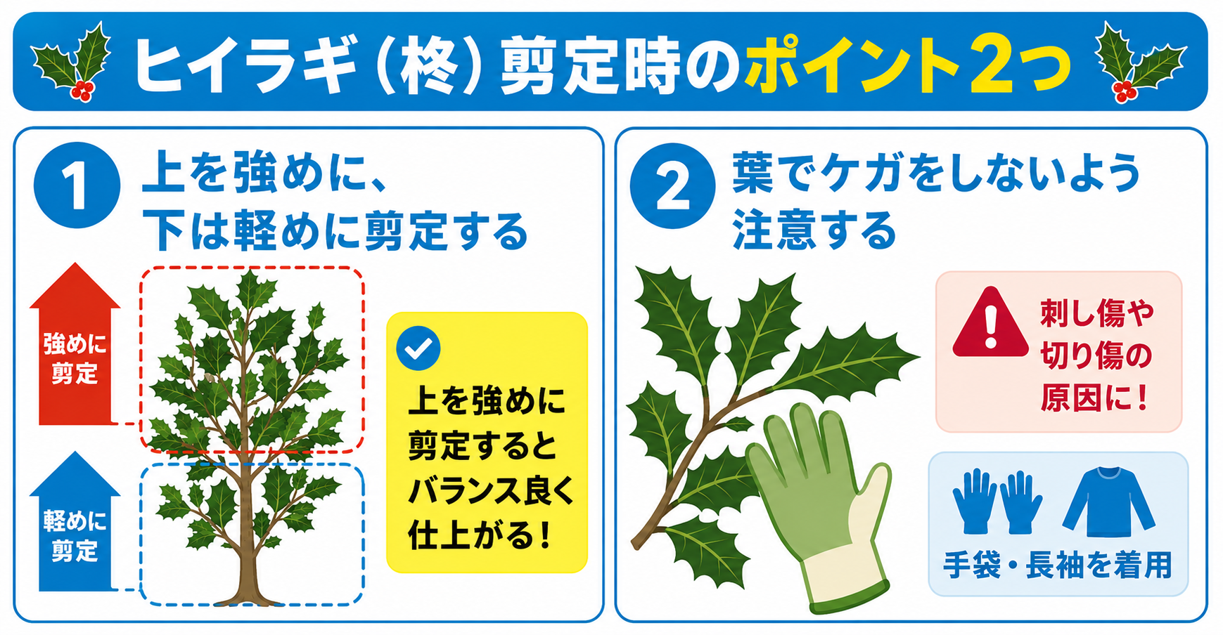 ヒイラギ(柊)剪定時のポイント