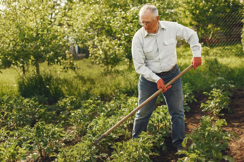 除草業者の費用相場を紹介中