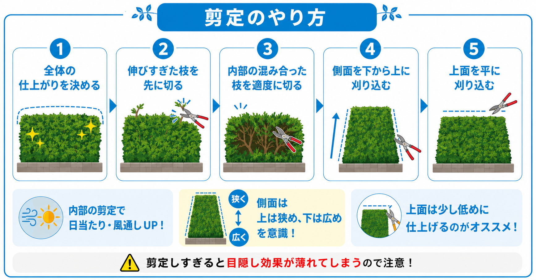 生垣のキンメツゲの剪定方法