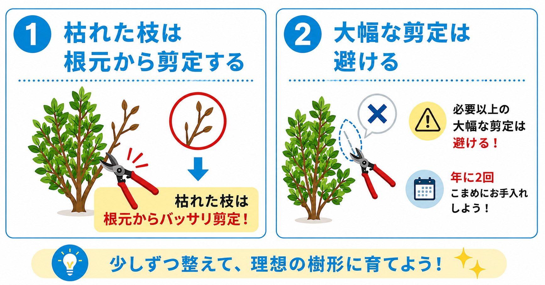 キンメツゲの剪定で失敗しないコツ