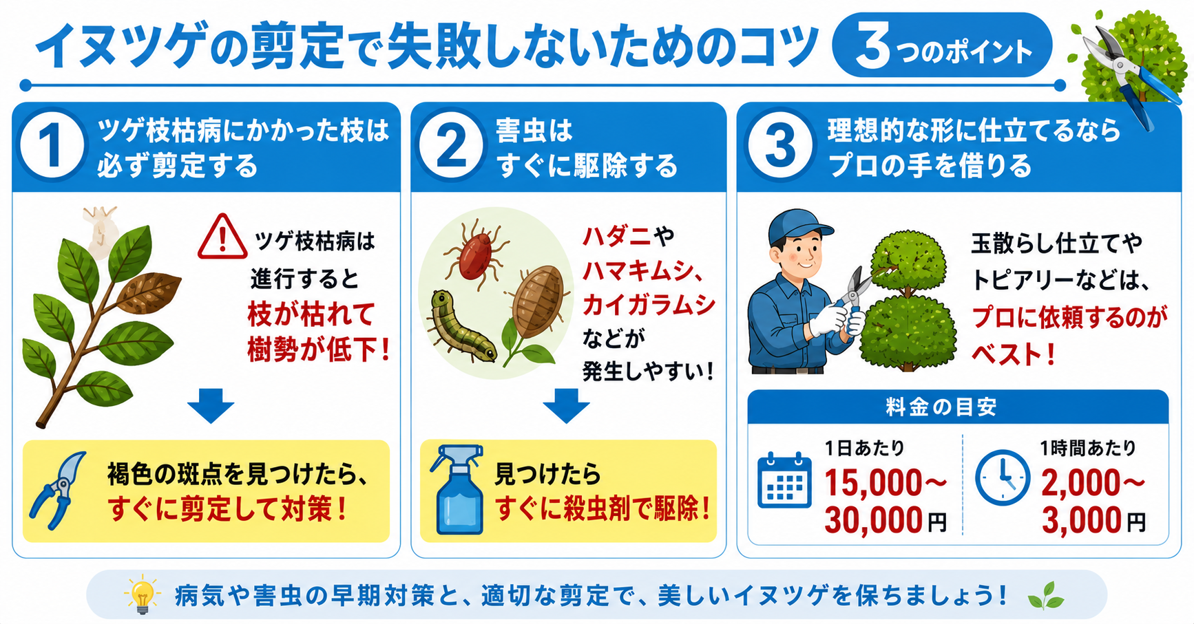 イヌツゲの剪定で失敗しないためのコツ【3つのポイント】