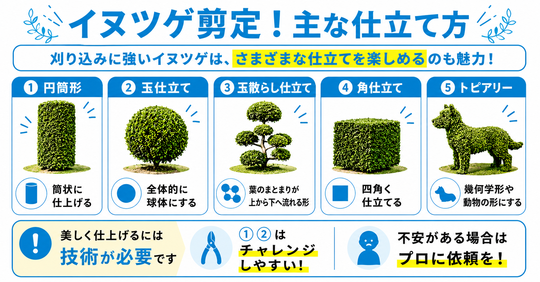 イヌツゲ剪定!主な仕立て方