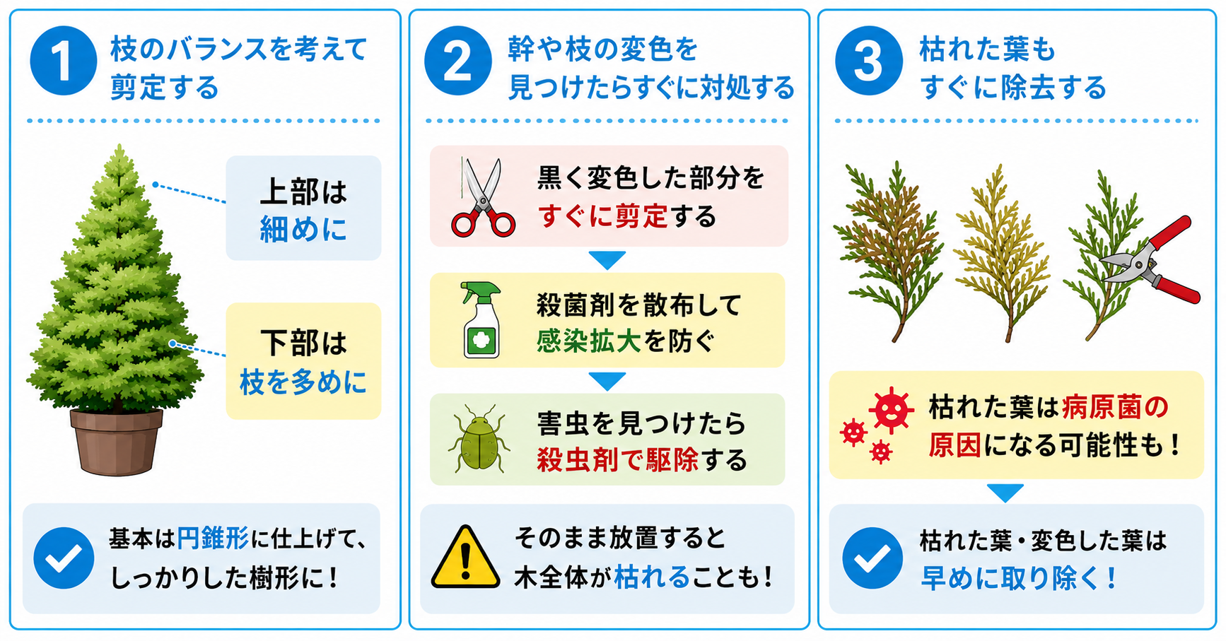  イトヒバの剪定のポイント