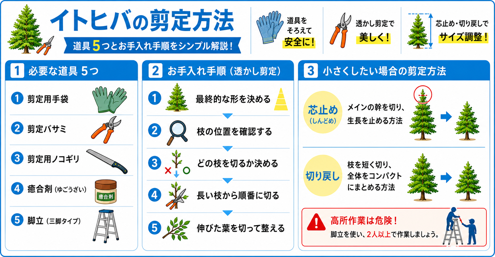 イトヒバの剪定方法【必要な道具5つとお手入れ方法】