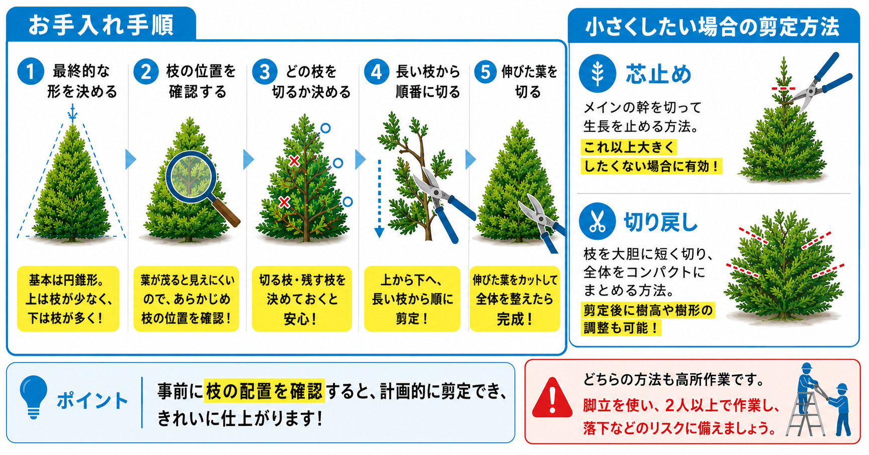  イトヒバの剪定方法
