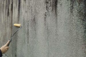 外壁のカビの落とし方！楽な方法や黒ずみ再発防止策も徹底解説