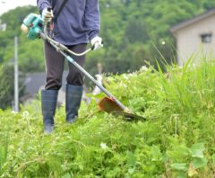 斜面法面傾斜地の草刈り